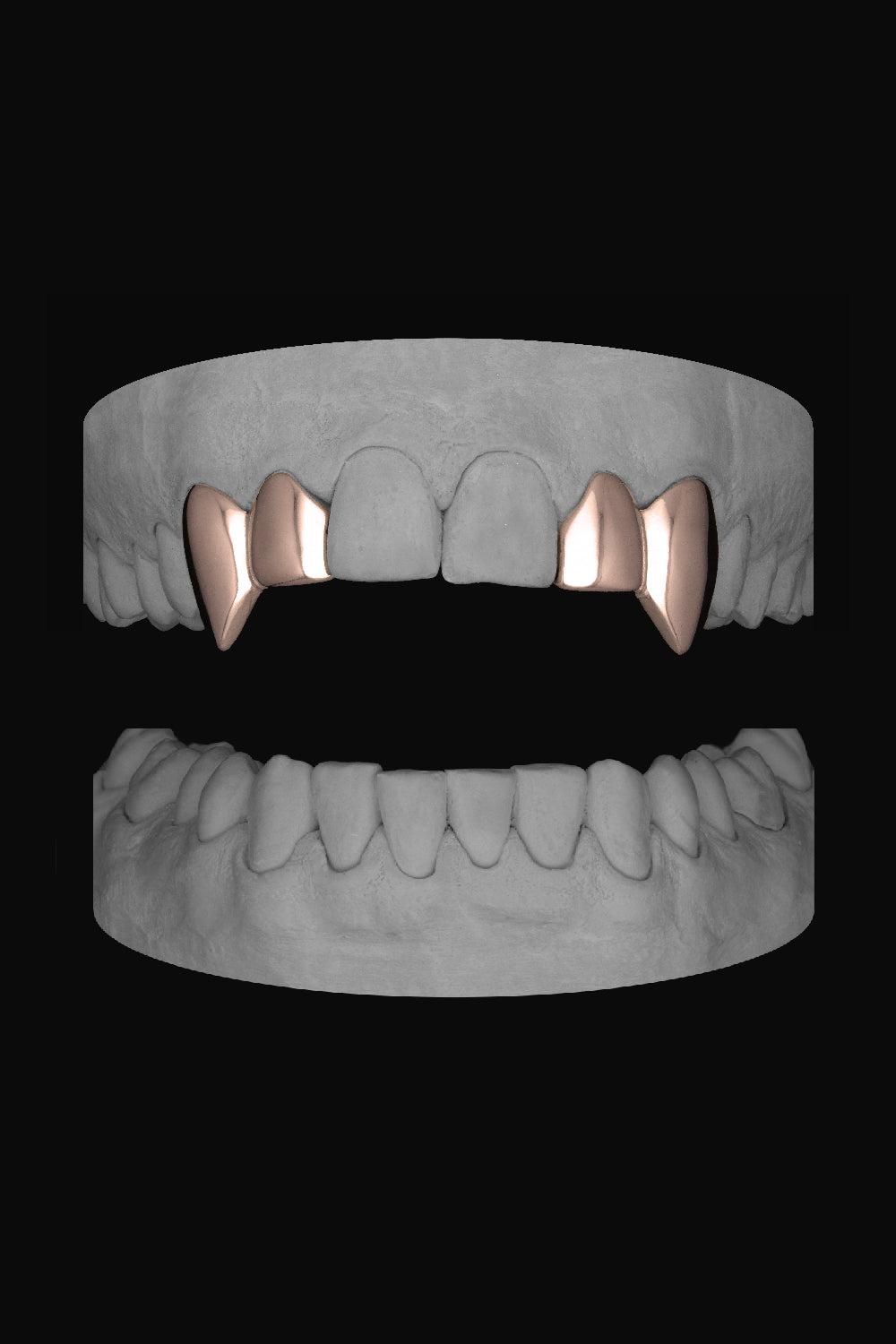 2 x Vampire Canine & Lateral