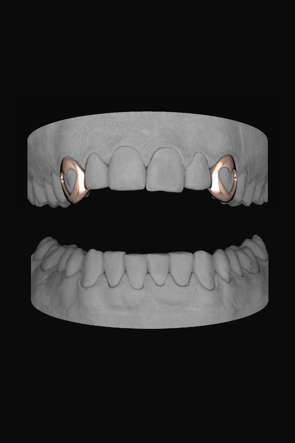 Heart Canine - Heart Canine