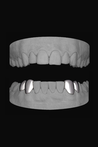 2 x Canine & premolar (Lower)