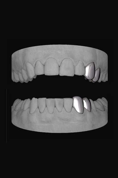 2 x Canine & Premolar (Upper & Lower)