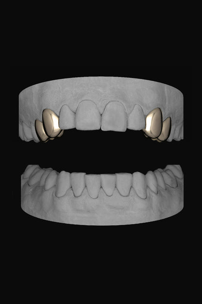 2 x Canine & Premolar (upper)