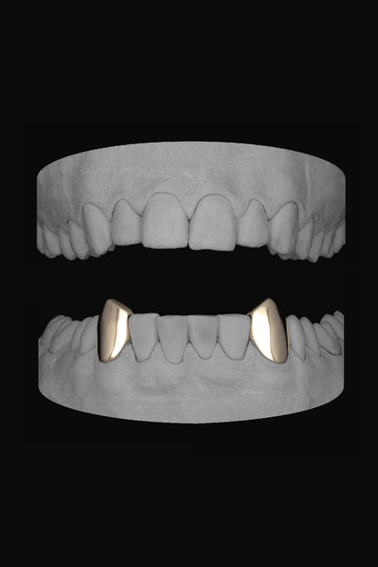 Vampire Canines (Lower)