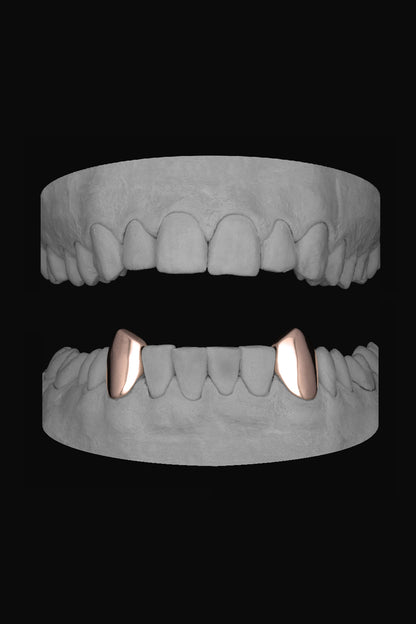 Vampire Canines (Lower)