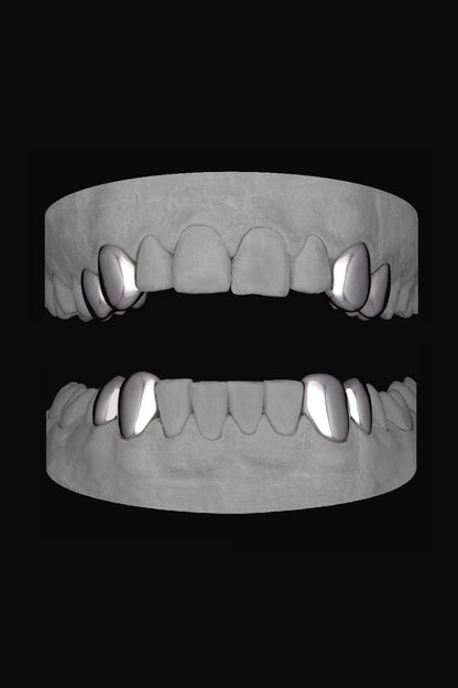 4 x Canine & Premolar