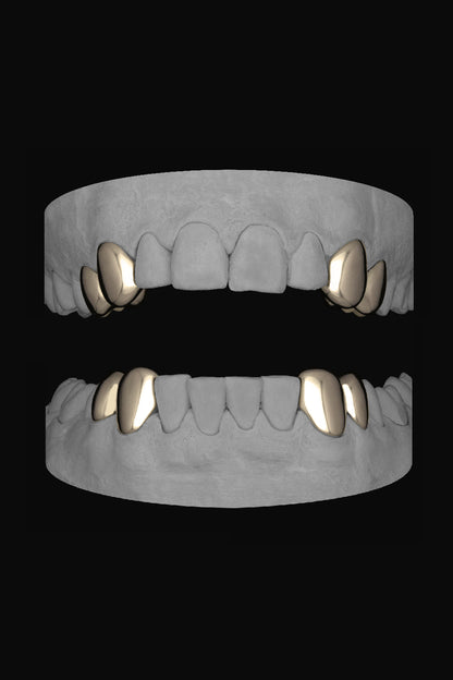 4 x Canine & Premolar
