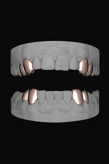 4 x Canine & Premolar