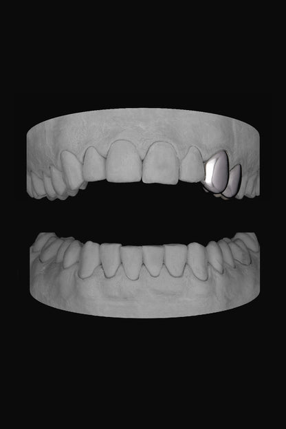 Canine & Premolar (Upper)