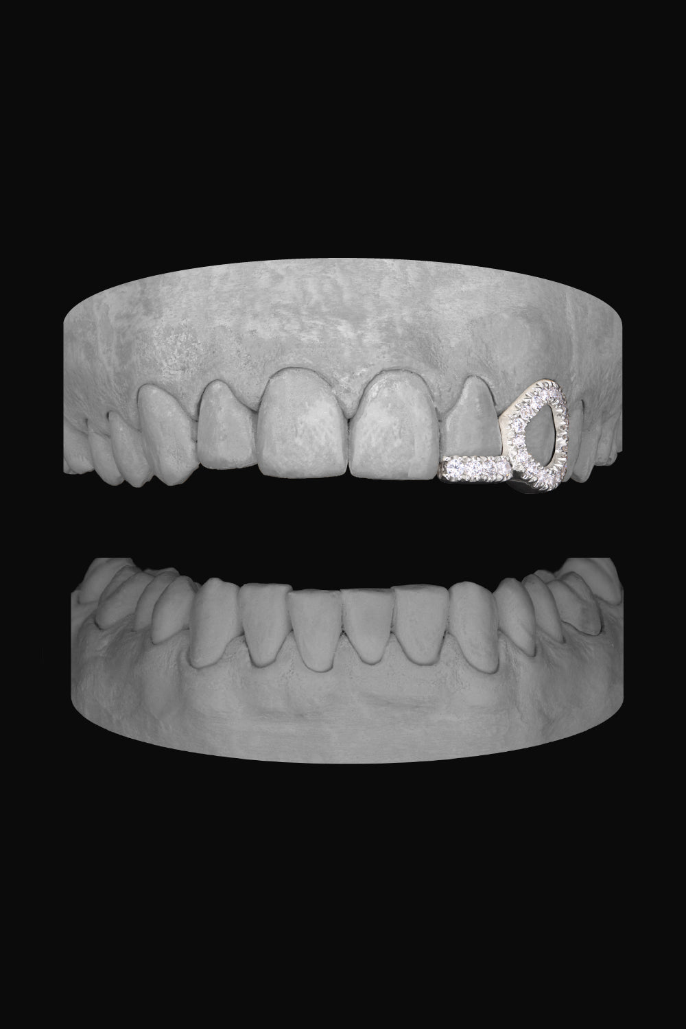 Diamond Window Canine & Bar