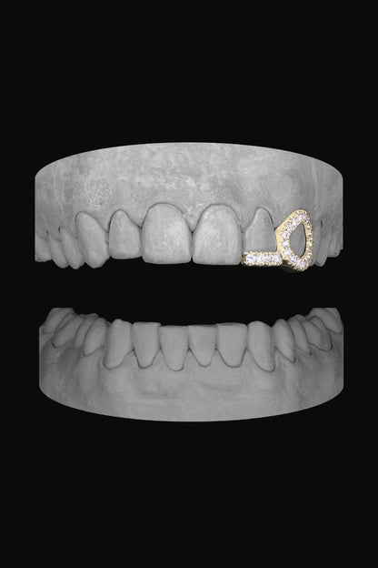 Diamond Window Canine & Bar