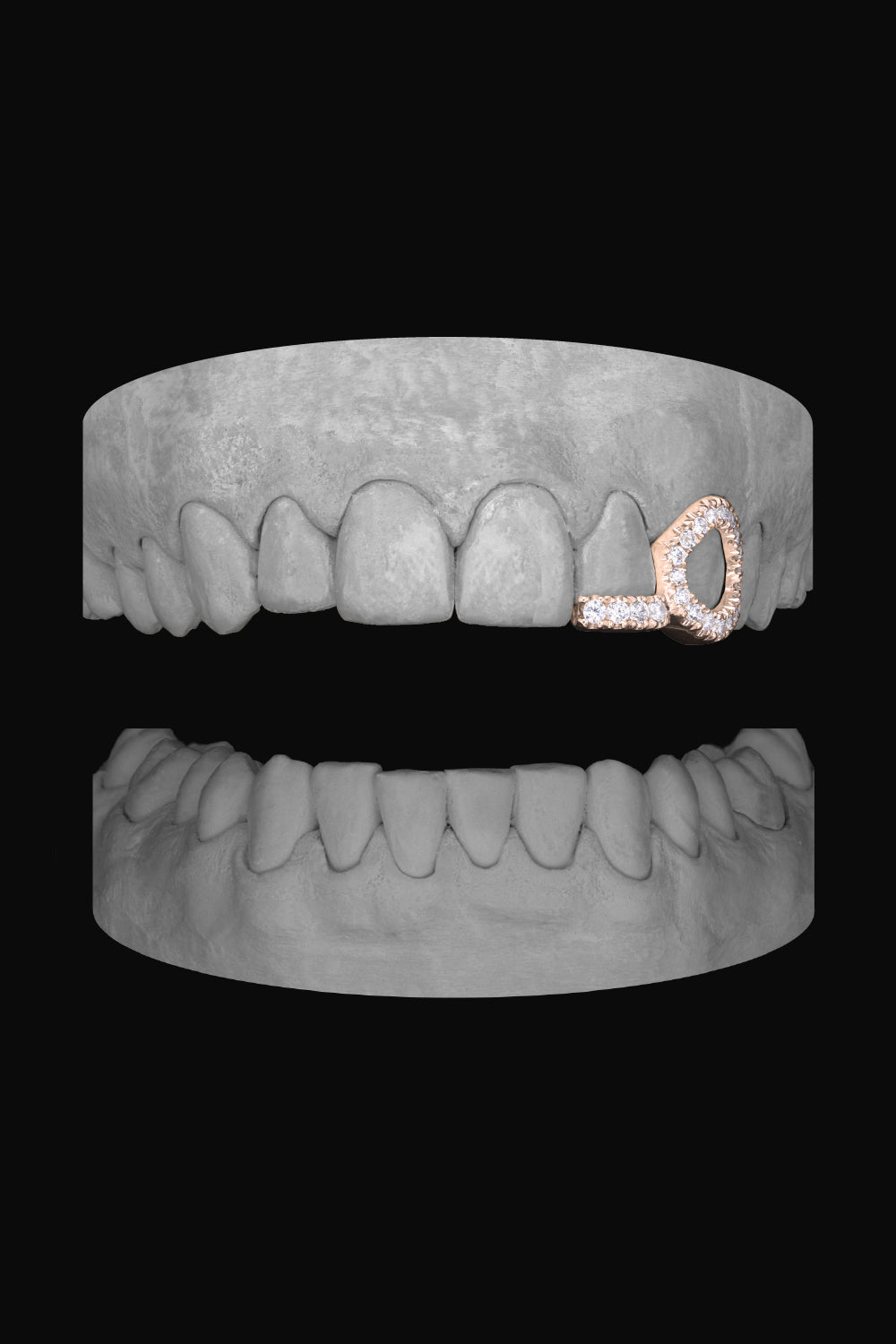 Diamond Window Canine & Bar