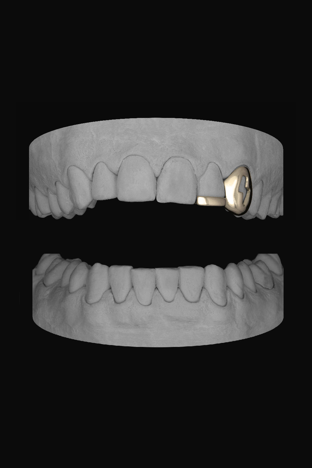 Bolt Canine & Bar