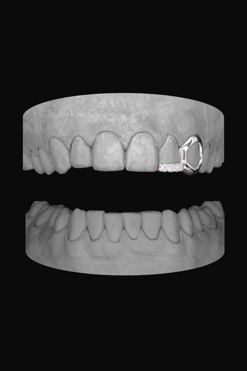 Window Canine & Diamond Bar